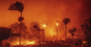 Wildfire Preparedness: Security Measures Everyone Should Know